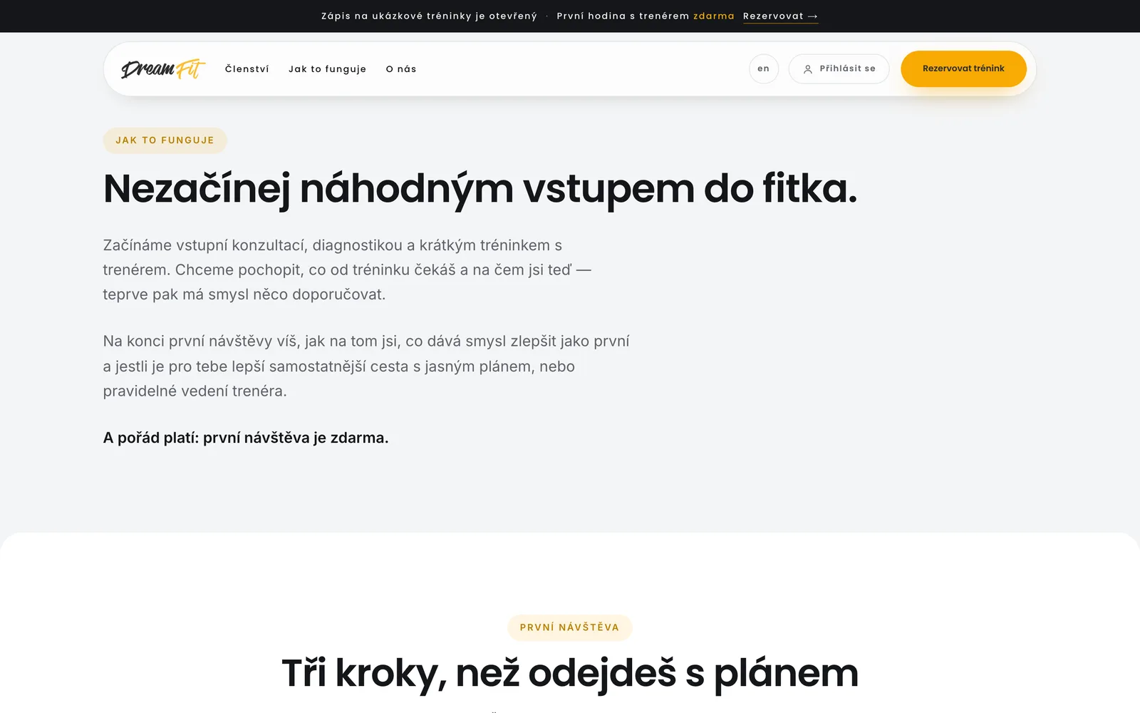 DreamFit — web